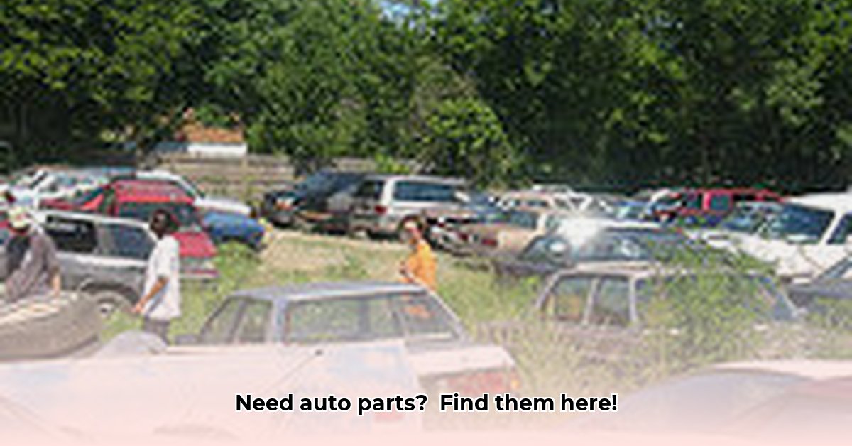 center-street-auto-salvage-dennis-ma